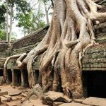 Angkor Tuk Tuk with Sunrise Small Tour